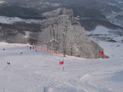 2008.1.27 x [080127-02.jpg]