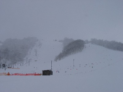 2010.01.23 x}X^[Y1 [100123-01.jpg/3732]